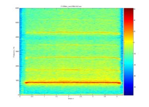 Spectrogramme du sifflet n° 3. © PHASE, Université de Toulouse