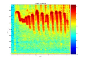 Spectrogramme du sifflet n° 26. © PHASE, Université de Toulouse